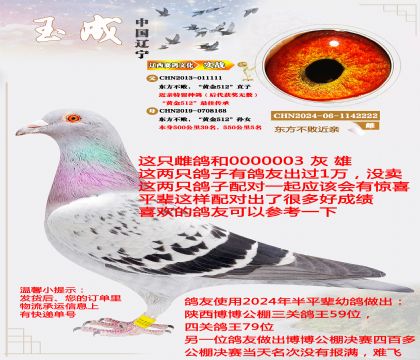 �������ܡ��ƽ�512�����ף����ƽ�512�����ֱ������