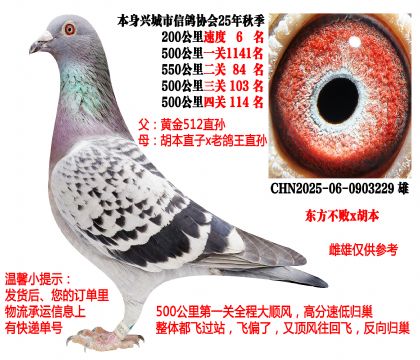 ��������x������2025���Ĵ�500����ɼ��룬�ǳ���