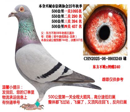 ��������x����240��2025���Ĵ�500����ɼ���