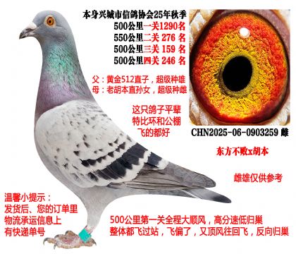 ��������x��������ֻ�ǰ�ָ��������������֮һ