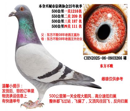 ��������08���ϸ����Ǿ�Զ������