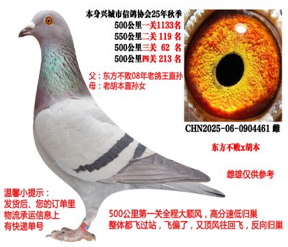 ��������x������2025���Ĵ�500����ɼ���