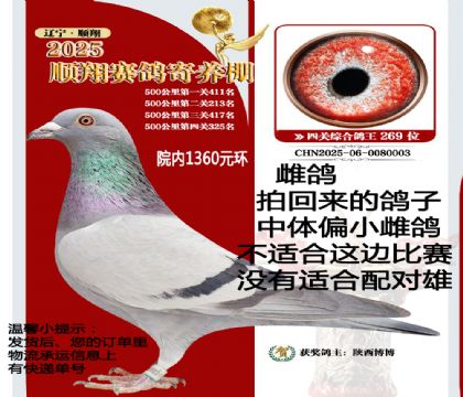 ������Ժ��1360Ԫ�رȻ���������������