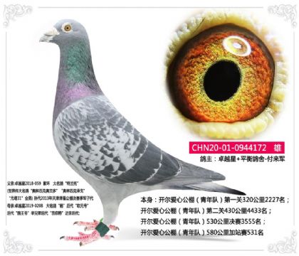 �������Ĺ������ӣ�580�����վ��531��  ��