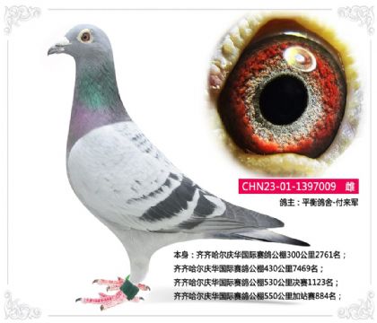 ��������컪�������빫��550�����վ��884��