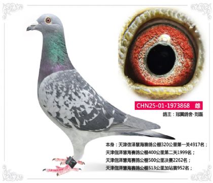 �������ۺ����빫��513�����վ��952��  ��