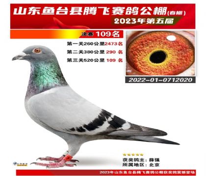 ɽ����̨���ڷ����빫����520�������109��  ��