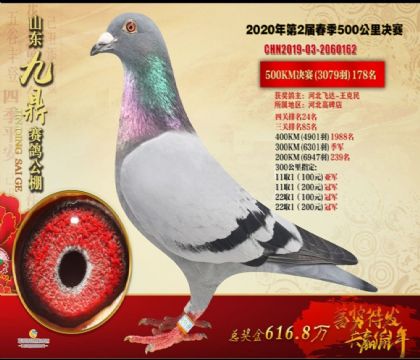 ɽ�����ݾŶ����빫���Ĺظ���24��   ��	