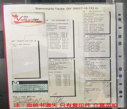 Ѫͳ��ֻ�и�ӡ��