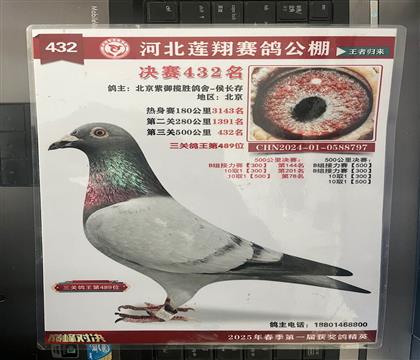 ����Ƭ��뷢��