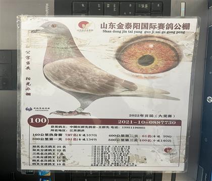 ����Ƭ��뷢��