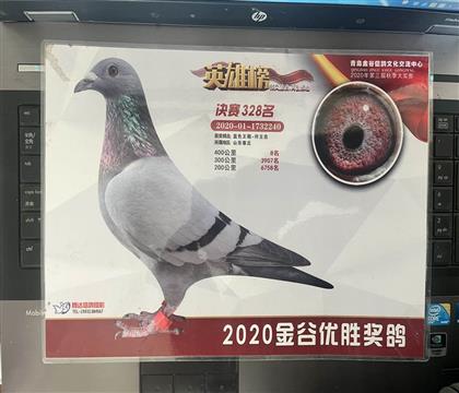 ����Ƭ��뷢��