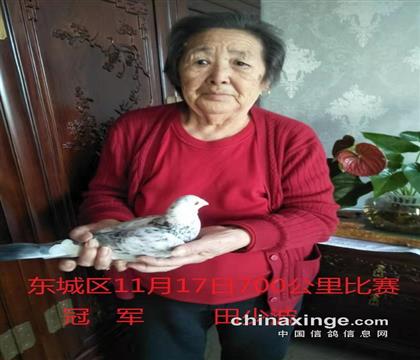 ������Ƭ