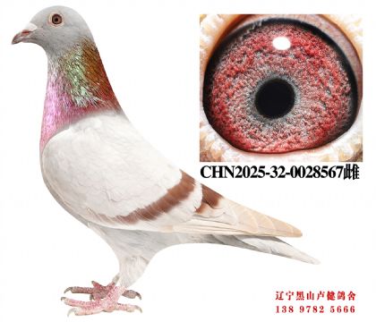 76.�ܽ�ͷ�27��X�ܽ�ͷ����28��