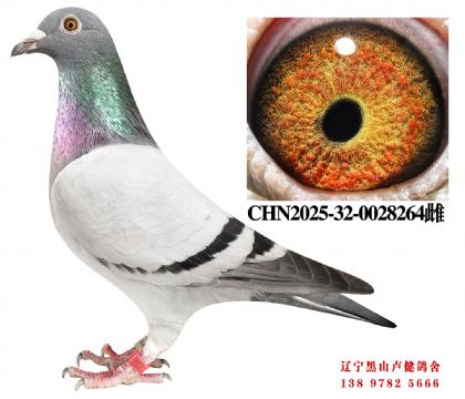 78.���ҽ���X�ܽ�ͷ88888ֱŮ