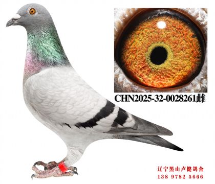 79.�ܽ�ͷ����110��X�ܽ�ͷ��Ұ��վ����