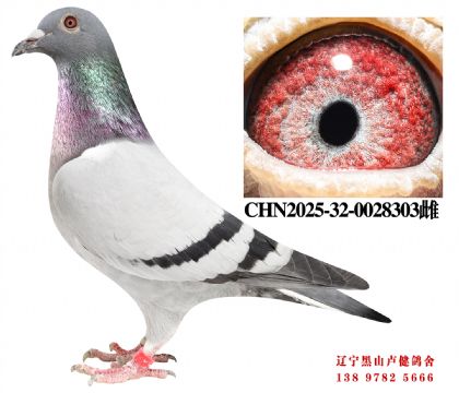 83.�ܽ�ͷ����С��ֱ��X��Ұ41��