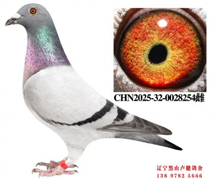 84.�ܽ�ͷ����