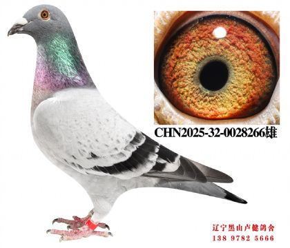 85.�ܽ�ͷ����