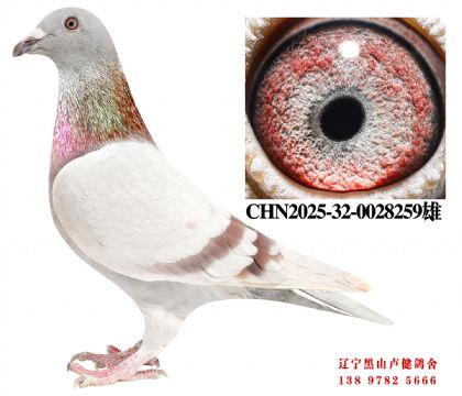 88.�ܽ�ͷ�27��X�����Ĺظ����ھ�