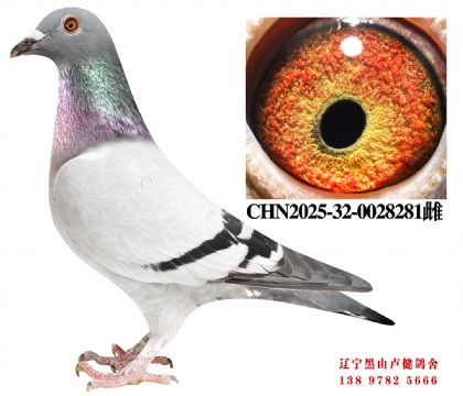 92.�ܽ�ͷ����