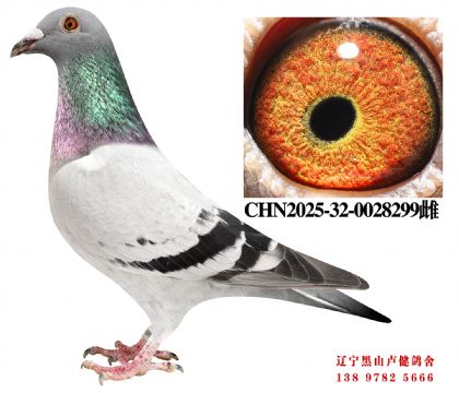 98.�ܽ�ͷֱ��X�ܽ�ͷ����С��ֱŮ