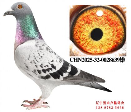 99.�ܽ�ͷֱ��X�򸣼���ֱŮ