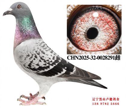 102.�ܽ�ͷ��ĸ618��