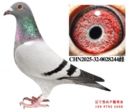 105.总教头直孙X王臣十名直女