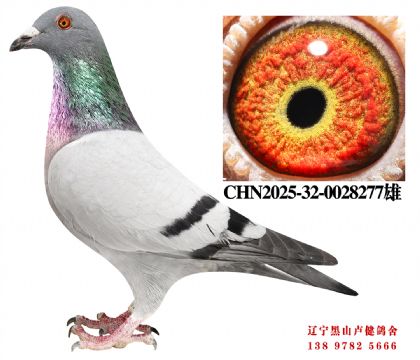 109.奶酪771X总教头58名孙女