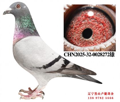 111.总教头直孙X总教头十二万号孙女