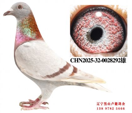 113.总教头金母618孙