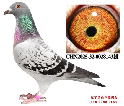 127.奶酪宇航300亚军X奶酪5名