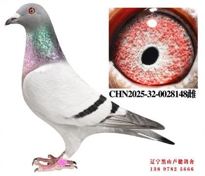 128.总教头宇航160名X总教头253平辈