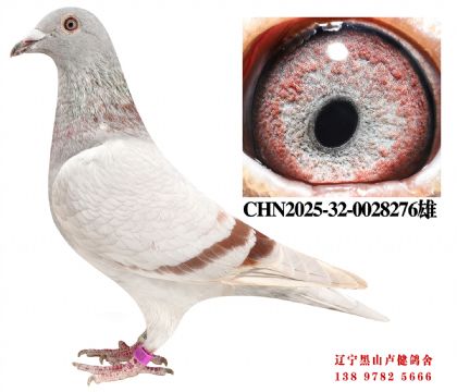 133.总教头金母618直子X总教头直孙女