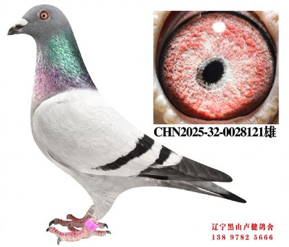 134.总教头兴顺达46名X总教头直孙女