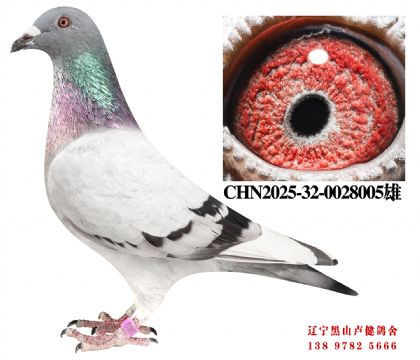 138.总教头金母618直子X奶酪黄金对直女