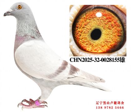 139.彼得曼德斯661X名轩凡登布克