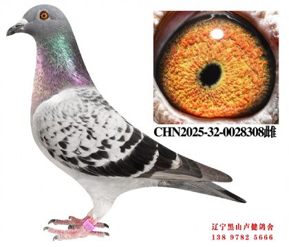 146.开尔85名X开尔97名