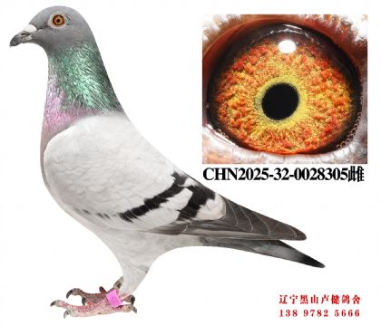 149.忠盛20名X总教头福兴94名