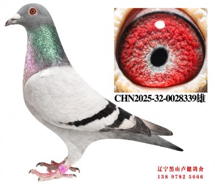 152.�ܽ�ͷԴ��55��X����ʮ��ֱŮ