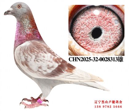 155.�ܽ�ͷ��ھ�X���������