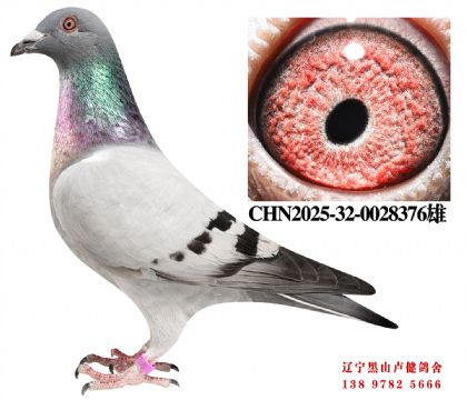 156.�ܽ�ͷ����53��X����201ֱŮ