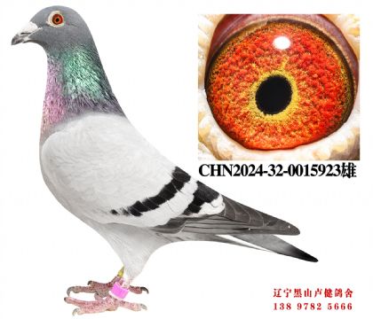 157.�ܽ�ͷ����