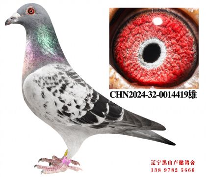 158.���ҿ����߸�������X������������