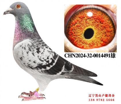 159.�ܽ�ͷ�Ĺعھ�ƽ��X����698�ھ�ֱŮ