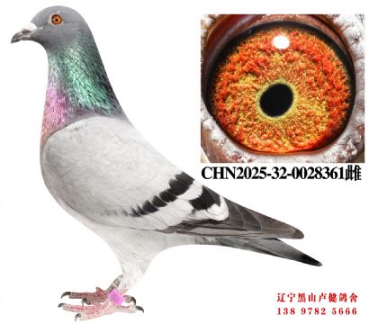 160.�ܽ�ͷ����110��X�ܽ�ͷ��Ұ��վ����