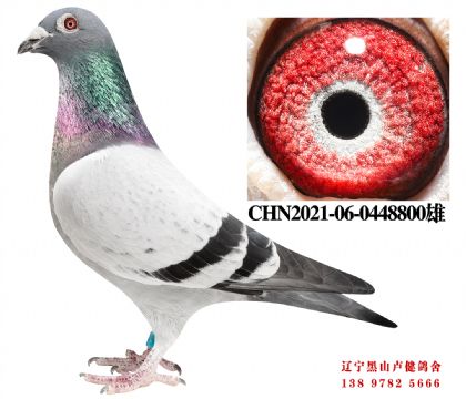 164.����85��X����С��