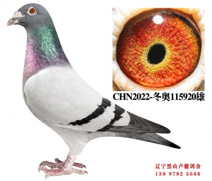 165.�ܽ�ͷ58��ֱ��XֱŮ