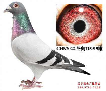 166.�ܽ�ͷ58��ֱ��XֱŮ